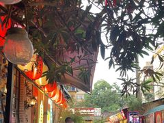-福苗小骆驼烧烤(莲湖路店)