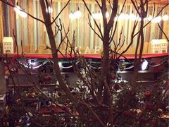 -Cafe Alice咖啡爱丽丝(奥城店)