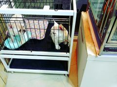 -1013 PET SHOP 宠物商店(近铁城市广场店)