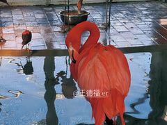 -太原动物园