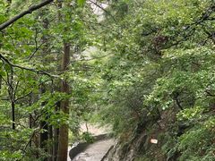 -庐山风景区花径公园