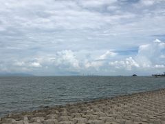 -野狸岛