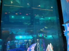 -乐从天佑城海洋馆