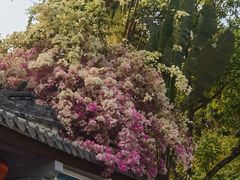 -深圳国际园林花卉博览园