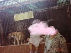-上方山森林动物世界