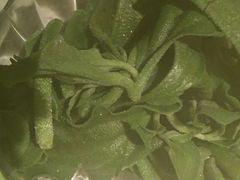 -一叶一世界·素食餐厅(锦华万达店)