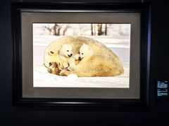 -罗红摄影艺术馆