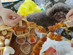 -白塔湖国家湿地公园