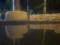 -明月山天沐温泉度假村