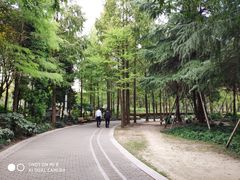 -苏州河梦清园环保主题公园