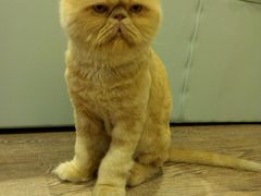 android_upload_pic-小时光咖啡馆(开森度假森林店)