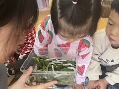 -婴智贝佳蒙特梭利早教托育中心(杨浦店)