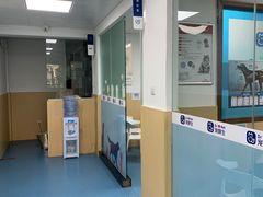 -宠颐生猫科·内科皮肤科(西平世纪城店)