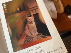 -新月集庭院咖啡馆(老邮局店)