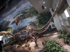 -自贡恐龙博物馆