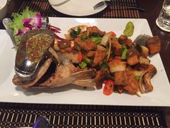 -Daddy Nimman Chiang Mai