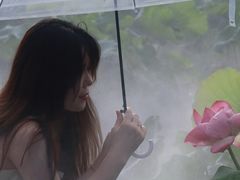 -陶辛水韵