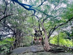 -乌山风景区