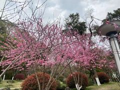 -食膳公园包子铺(烈士公园店)