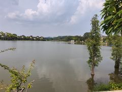 -美的鹭湖森林度假区