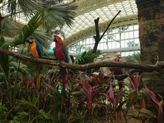 -杭州开元森泊度假乐园