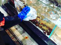 -超级物种(省府店)