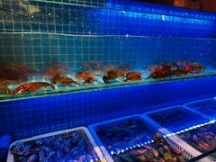 -星伦多自助料理(永旺店)