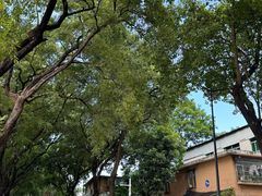 -光明刘冰乳鸽店(光明法政北路店)