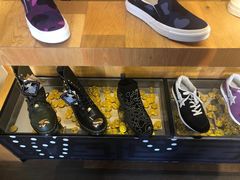 -BAPE STORE®(斯普瑞斯奥特莱斯店)