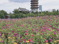 -长春北湖公园