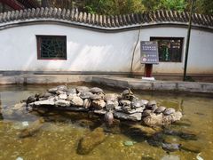 -红螺寺