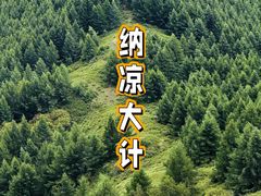 -苏木山森林公园