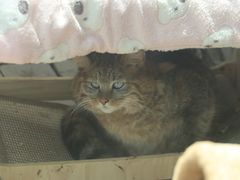 -青藏高原野生动物园