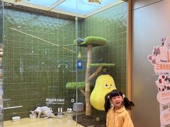 -首开·龙湖成都西宸天街