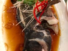 -渝信川菜(南滨店)