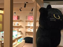 -爪爪喵星球·猫舍(卓悦中心店)