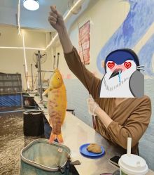 -巡鱼道·室内垂钓·渔具店