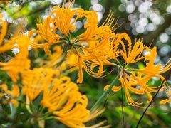 -桂林资江天门山风景区