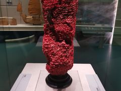 -上海中国航海博物馆