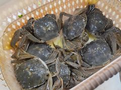 -春华海鲜城(广场西苑店)
