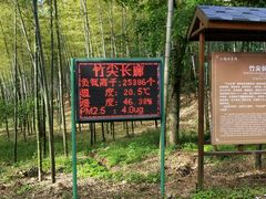 -陶祖圣境风景区