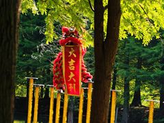 -泗洪洪泽湖湿地景区