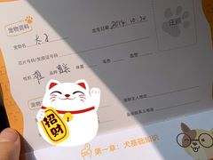 -西安京西宠物医院·瘫痪·疑难杂症