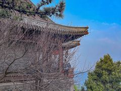 -香山公园