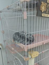 -Echo·回声专注男士发型设计