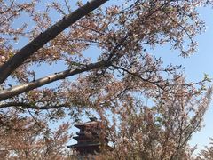 -古柏渡飞黄旅游区