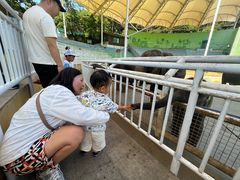 -大连森林动物园