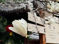 -龙华寺