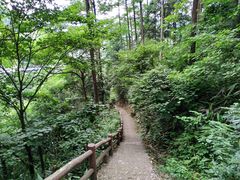 -藏龙百瀑风景区