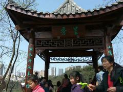 -重庆彩云湖湿地公园